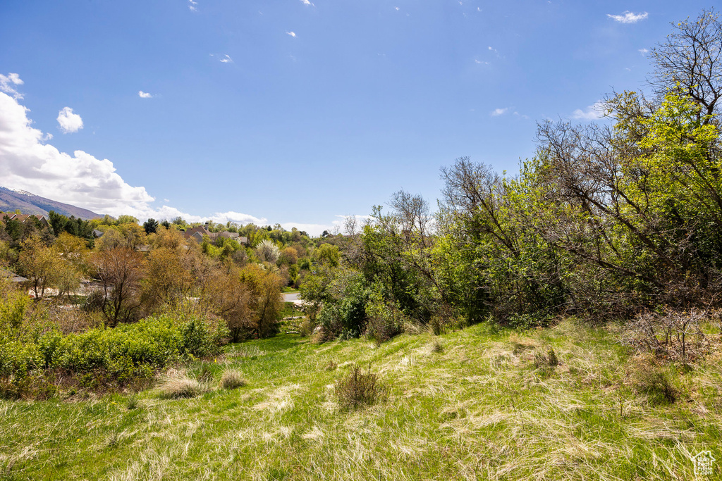 View of nature with a mountainous background