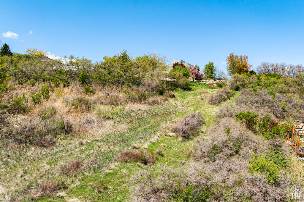 View of undeveloped land
