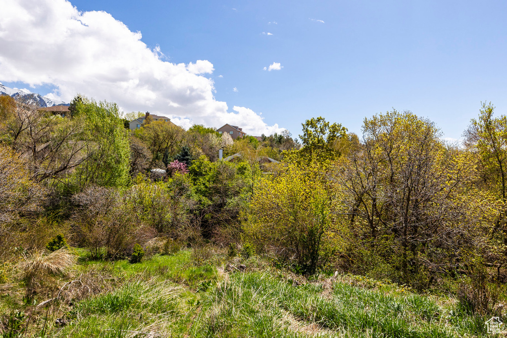 View of undeveloped land