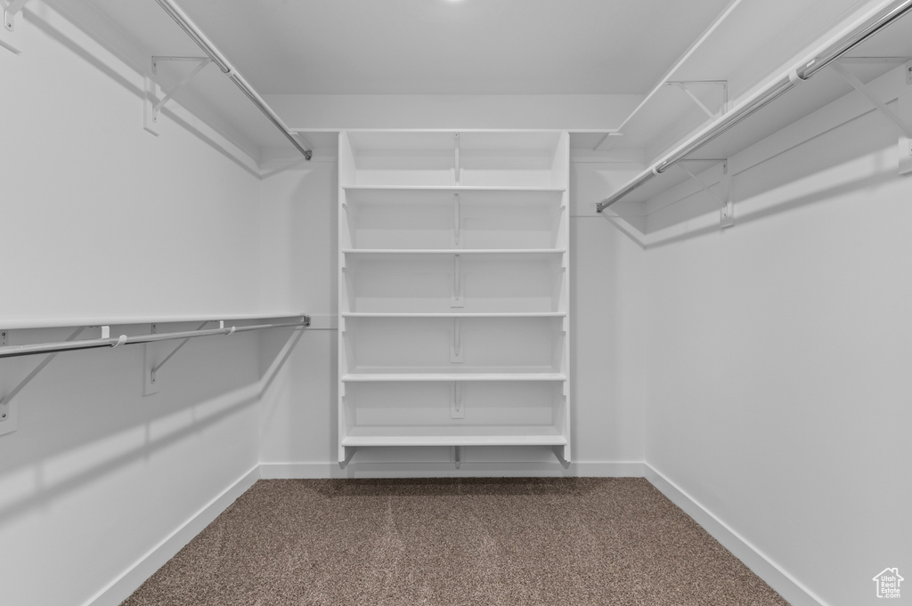 Walk in closet with dark carpet