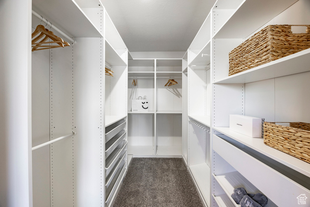 Spacious closet with dark colored carpet