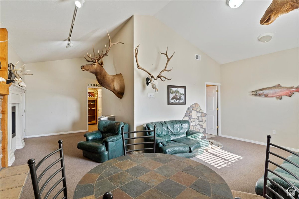Carpeted bedroom featuring baseboards, a fireplace, rail lighting, and high vaulted ceiling