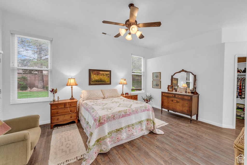 Bedroom with a spacious closet, multiple windows, and wood finished floors
