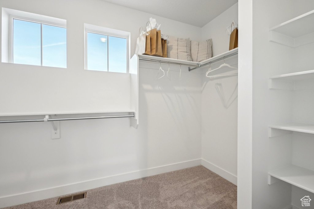 Spacious closet with carpet