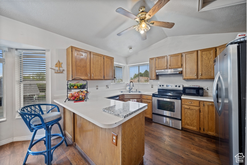 Kitchen featuring appliances with stainless steel finishes, a peninsula, under cabinet range hood, lofted ceiling, and a sink