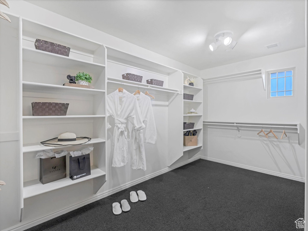 Walk in closet featuring dark colored carpet