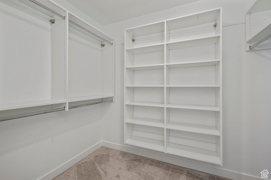 Walk in closet featuring carpet flooring