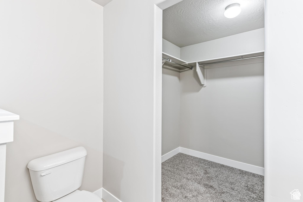 Walk in closet featuring carpet floors