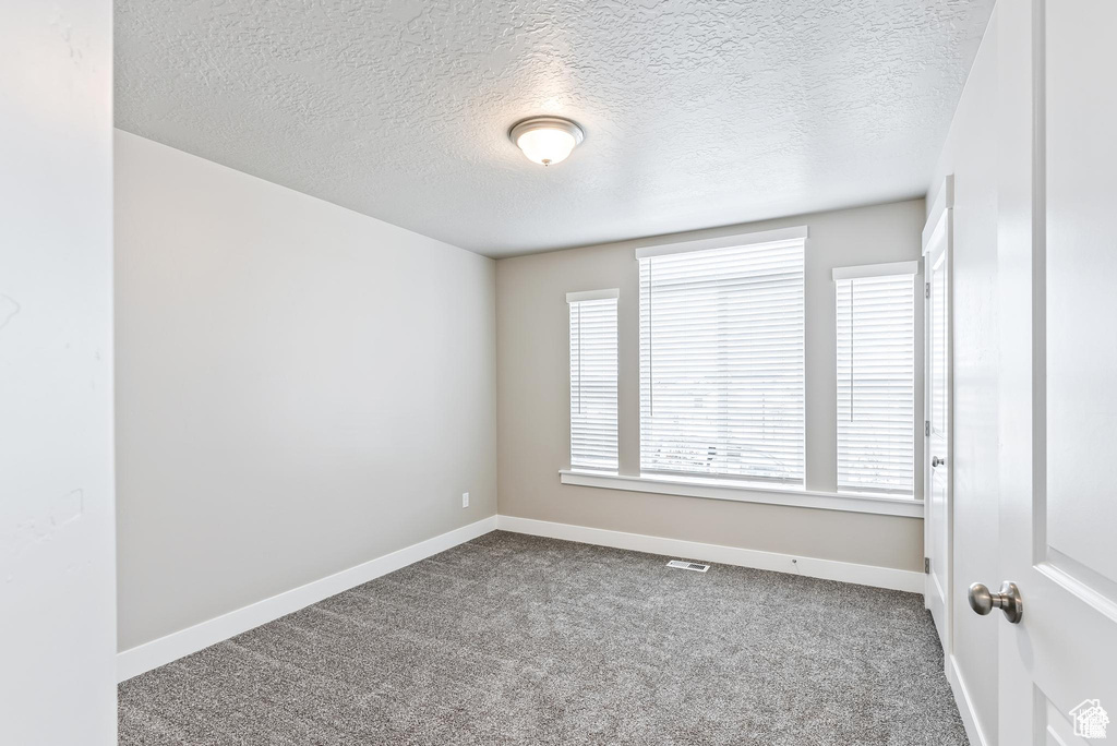 Spare room with carpet, baseboards, and a textured ceiling