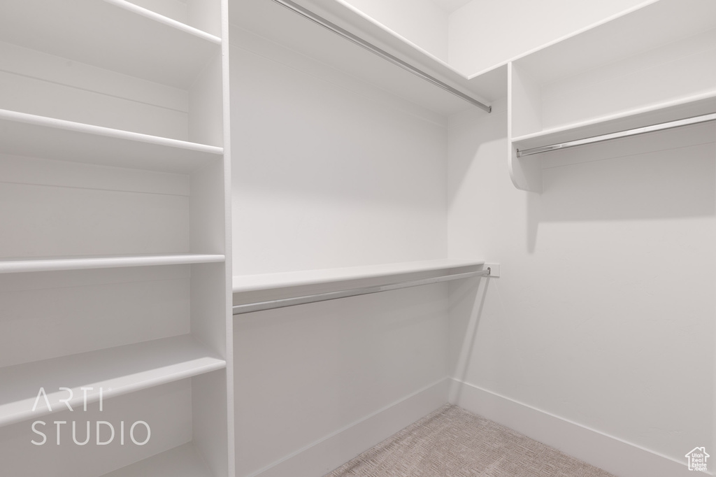 Spacious closet featuring carpet floors