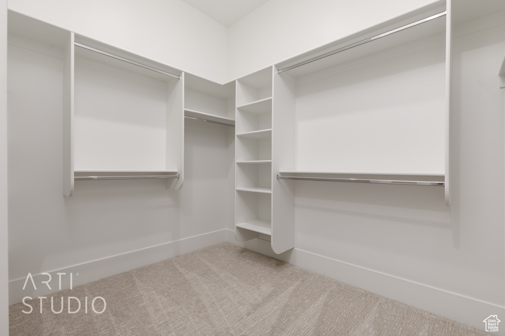 Spacious closet featuring carpet floors