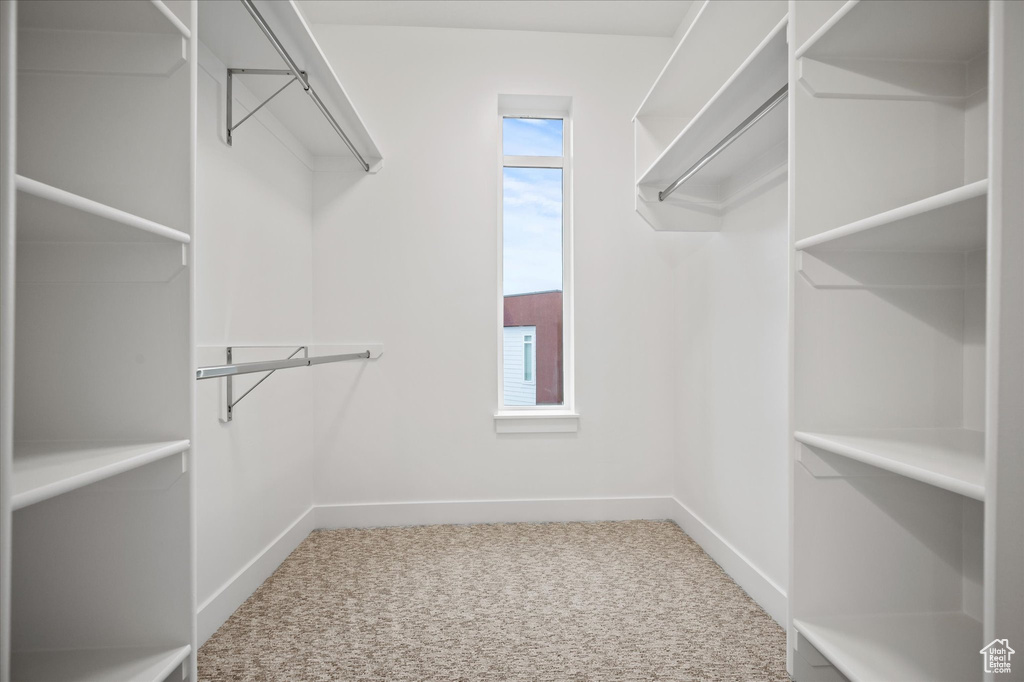 Spacious closet featuring carpet