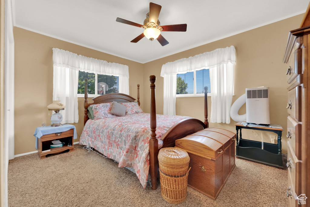 Bedroom with carpet floors, crown molding, ceiling fan, and baseboards