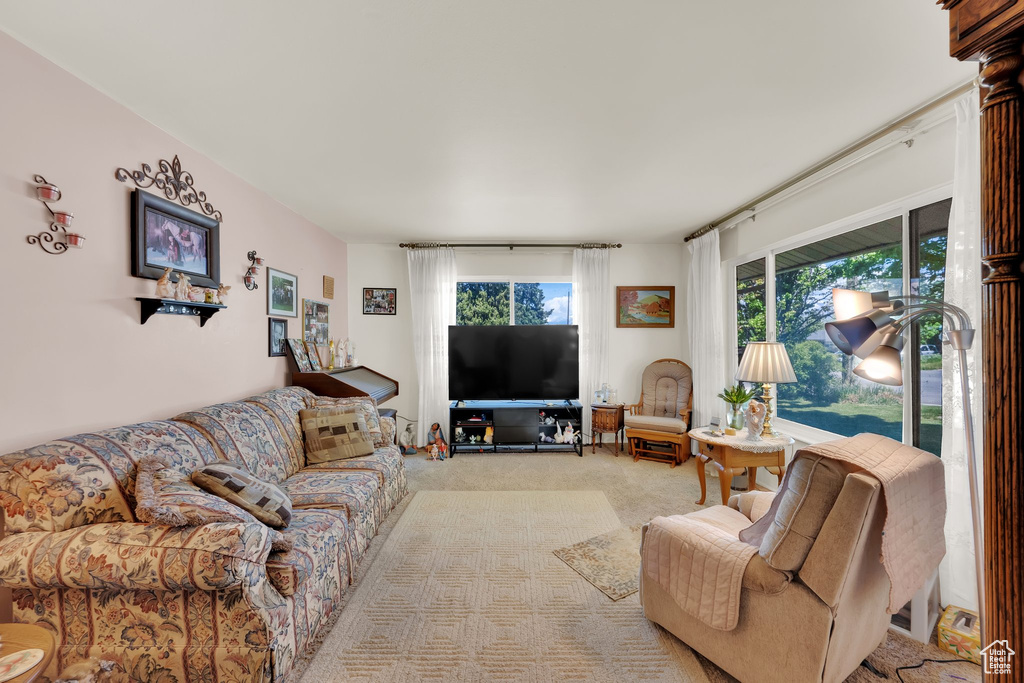 Living area featuring carpet