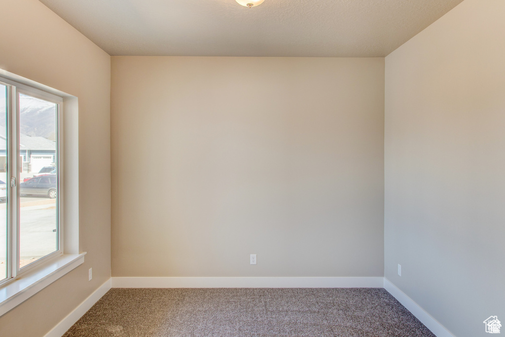 Carpeted empty room featuring plenty of natural light and baseboards