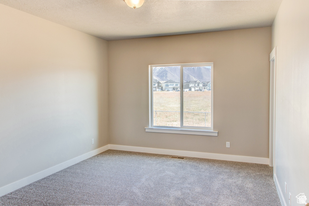 Carpeted spare room featuring baseboards and a textured ceiling