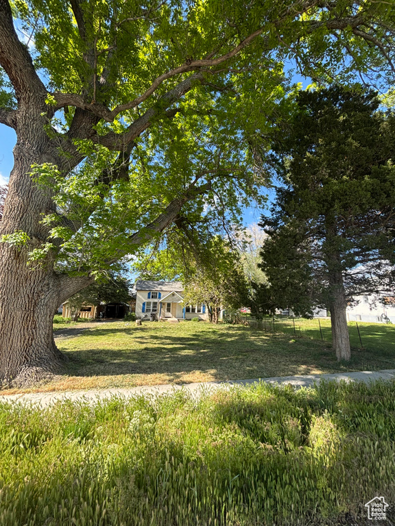 View of grassy yard