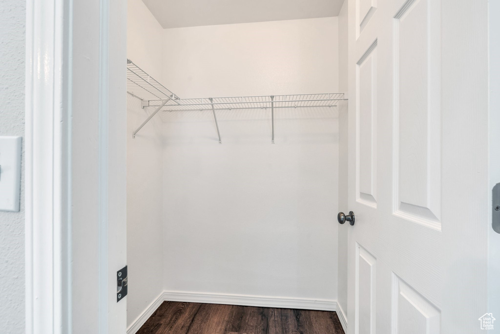 Spacious closet with dark wood finished floors