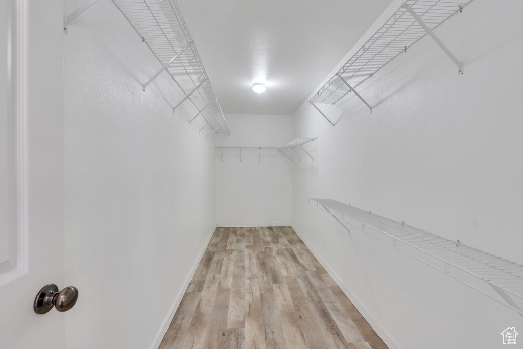 Walk in closet featuring light wood finished floors
