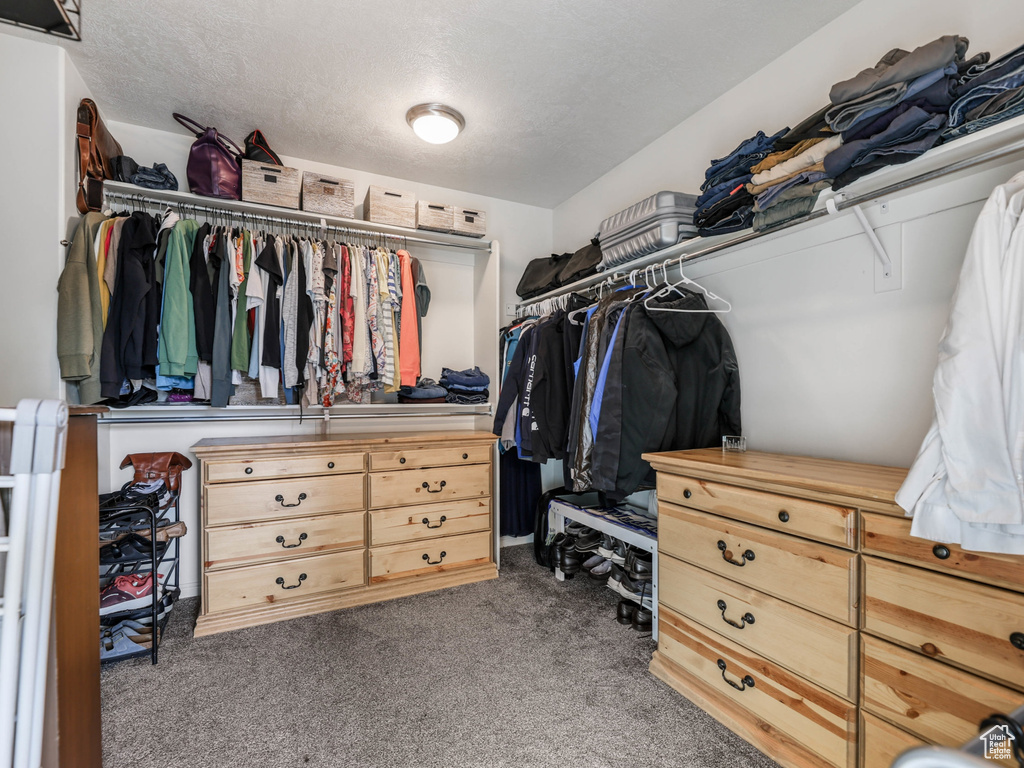 Walk in closet with carpet