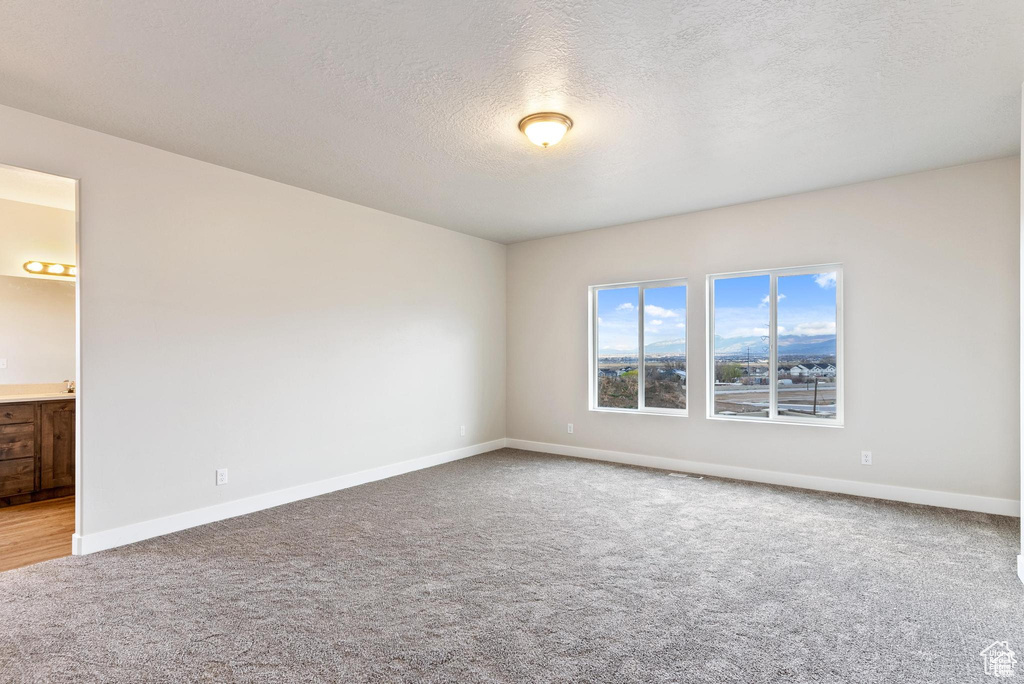 Empty room featuring light colored carpet, baseboards, and a textured ceiling