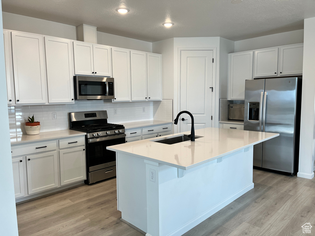 Kitchen with stainless steel appliances, a sink, light wood finished floors, and tasteful backsplash