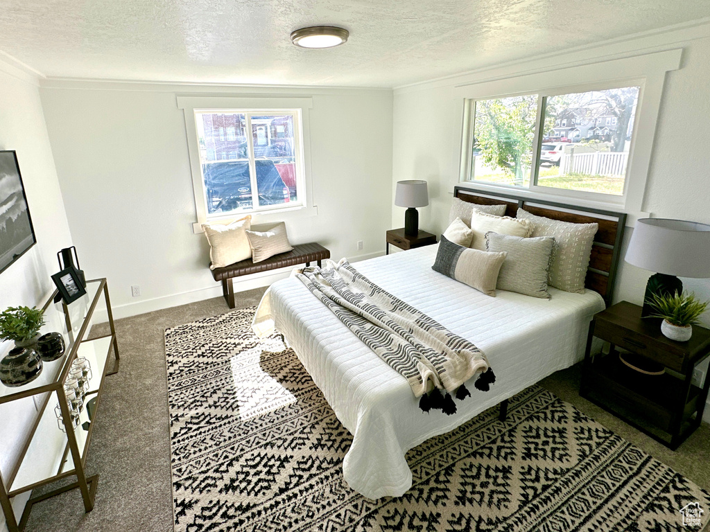 Bedroom with carpet floors, a textured ceiling, crown molding, and baseboards