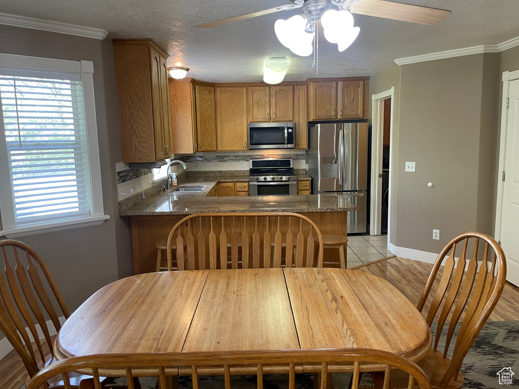 Kitchen featuring appliances with stainless steel finishes, a sink, ceiling fan, decorative backsplash, and a peninsula