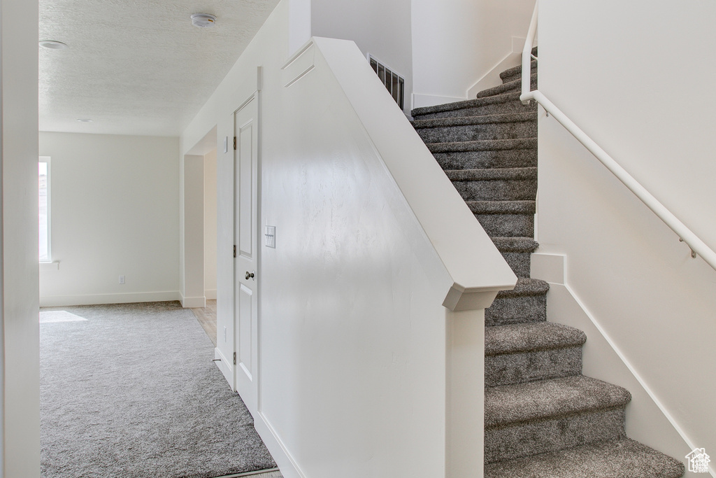 Stairway with carpet floors, baseboards, and a textured ceiling