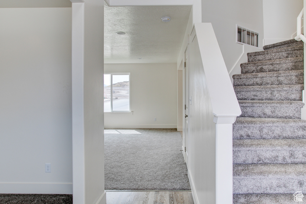 Stairway with carpet flooring, baseboards, wood finished floors, and a textured ceiling