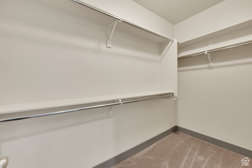 Walk in closet featuring carpet floors