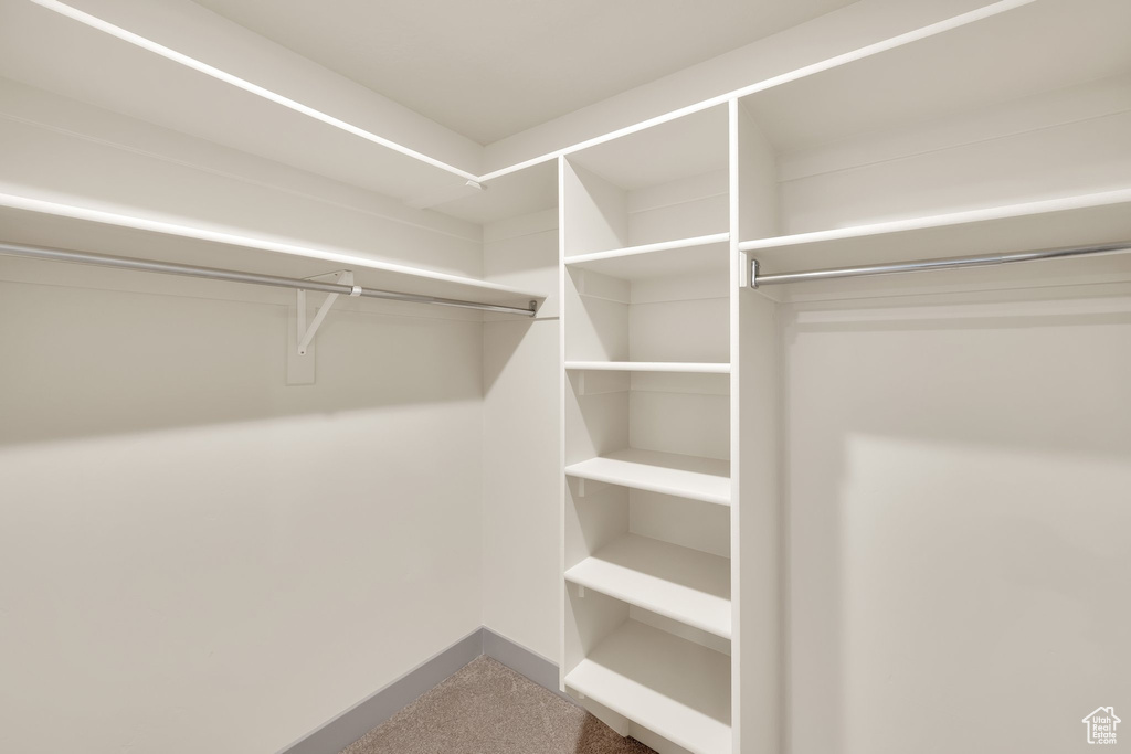 Walk in closet featuring carpet