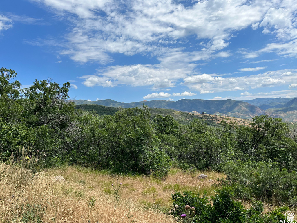 View of mountain background