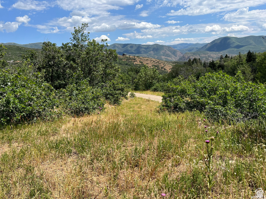 Mountain view
