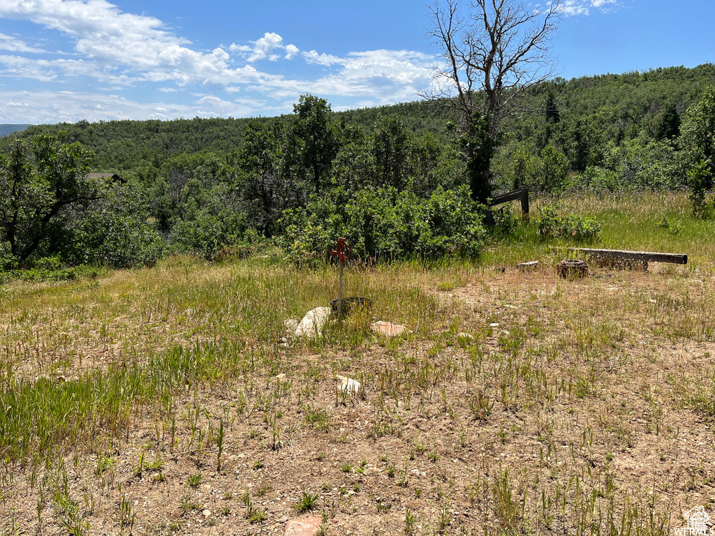 View of wooded area