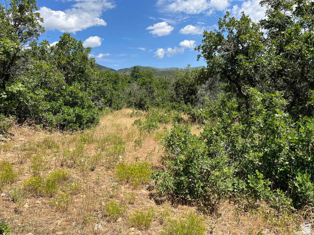 View of undeveloped land with mountains