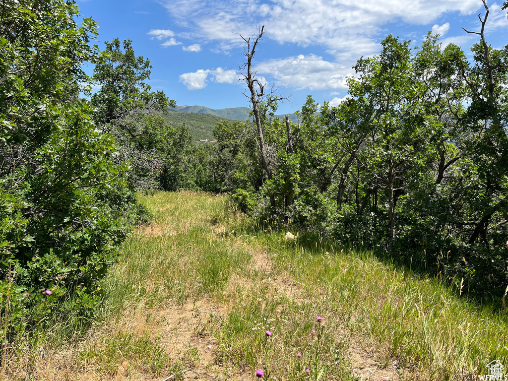 View of local wilderness featuring mountains