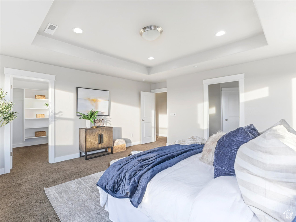 Carpeted bedroom featuring a tray ceiling, baseboards, a spacious closet, and recessed lighting