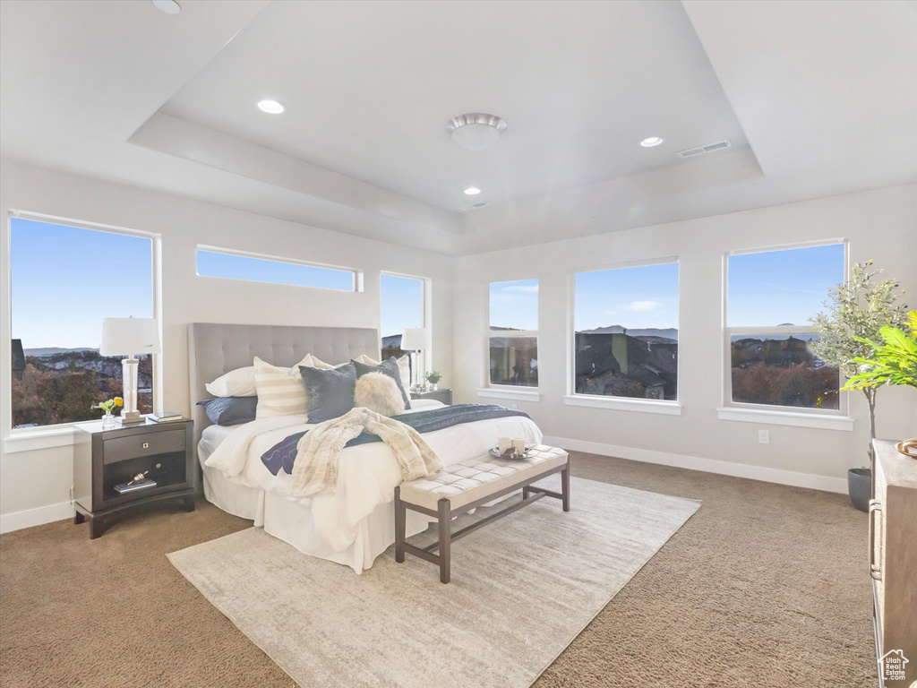 Carpeted bedroom featuring a tray ceiling, baseboards, multiple windows, and recessed lighting