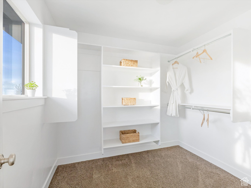 Walk in closet with carpet