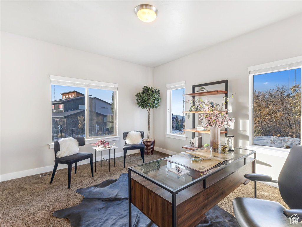Carpeted home office with baseboards