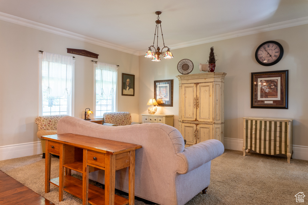 Living area featuring crown molding and baseboards
