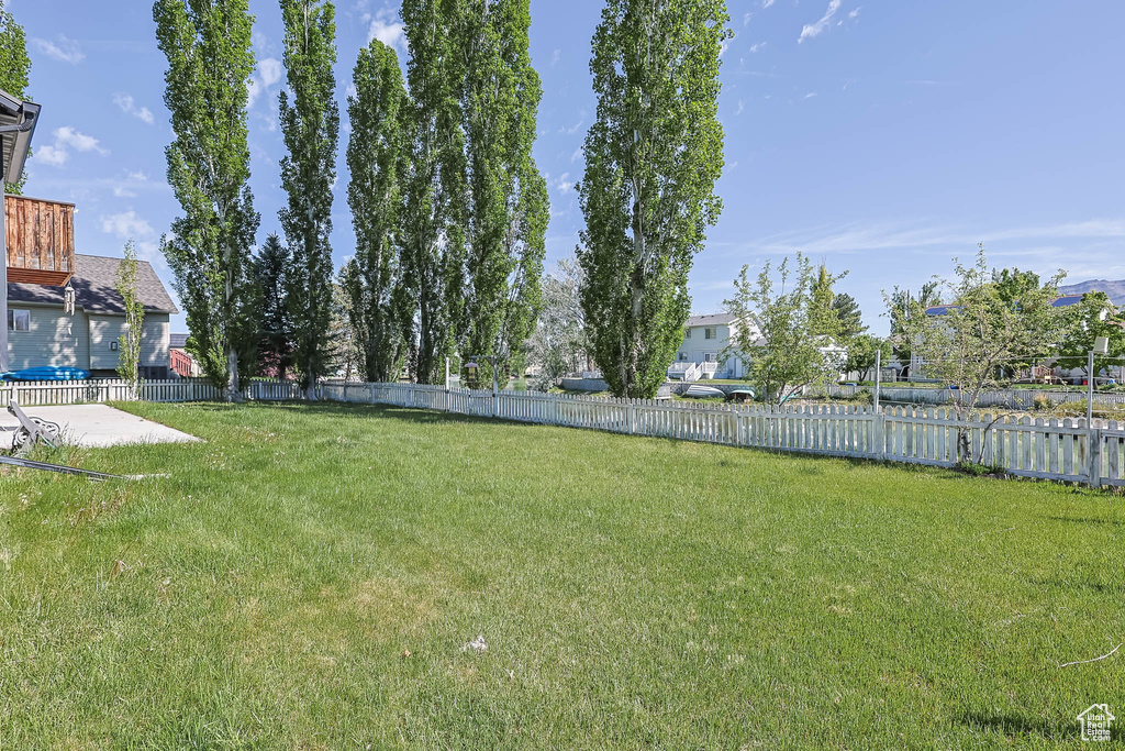 View of yard