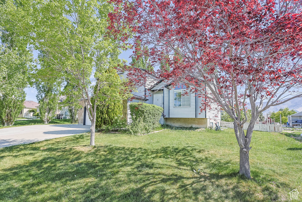View of yard featuring driveway
