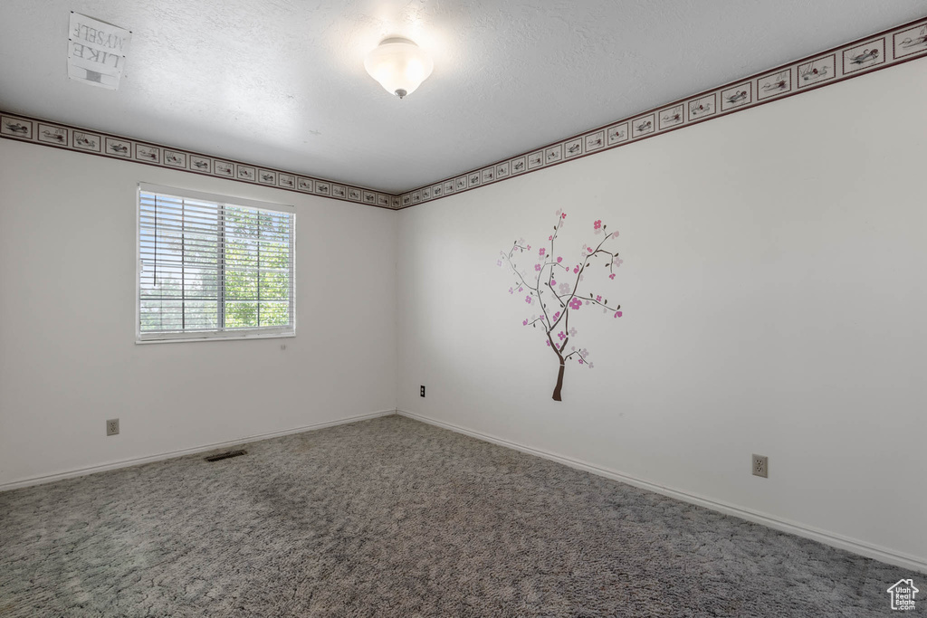 Spare room with carpet, baseboards, and a textured ceiling