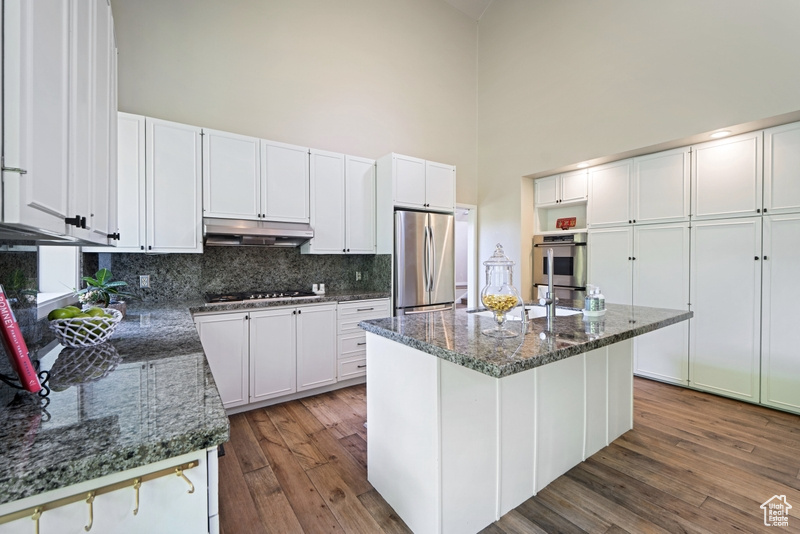 Kitchen featuring stainless steel appliances, a towering ceiling, under cabinet range hood, dark wood-style floors, and backsplash