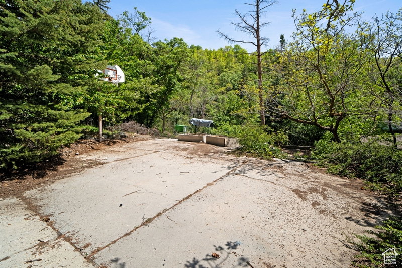 View of patio featuring a view of trees