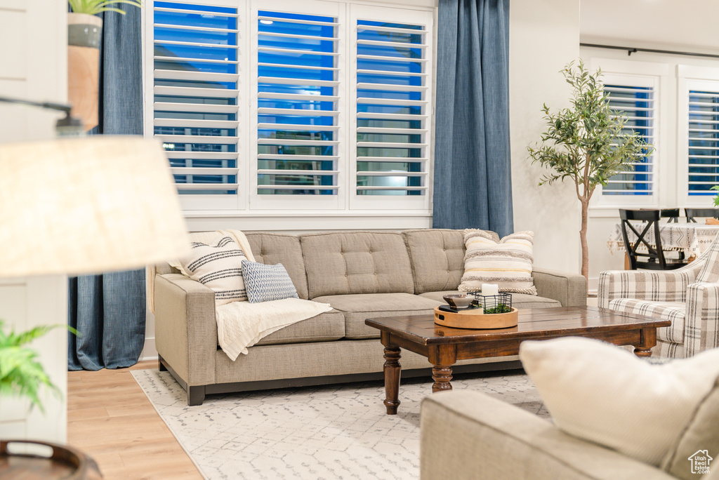 Living room featuring wood finished floors