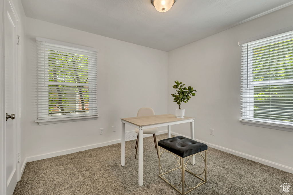Carpeted home office featuring healthy amount of natural light and baseboards