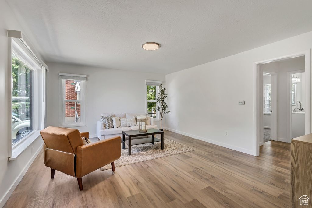 Living area with wood finished floors, healthy amount of natural light, baseboards, and a textured ceiling
